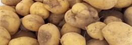 قیمت جدید سیب زمین اعلام شد