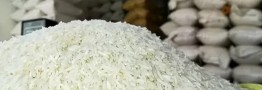 قیمت برنج هاشمی در بازار چند؟ 
