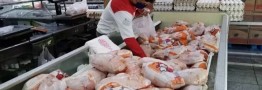 قیمت جدید گوشت مرغ در بازار