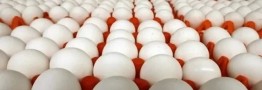 &laquo;شهر تخم&zwnj;مرغ&raquo; به زودی افتتاح می شود