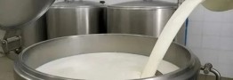 شیر گران می شود؟