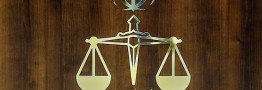 اطلاعیه حوزه سخنگویی قوه قضاییه درباره دستگیری مظنونین مرتبط با قتل دانشجوی دانشگاه تهران
