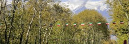 اخطار به شهرداری تهران برای تصمیم به قطع درختان خیابان ولیعصر