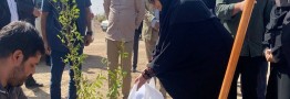 معاون رئیس&zwnj; جمهور: تحقق عدالت زیستی از اولویت&zwnj;های دولت چهاردهم است