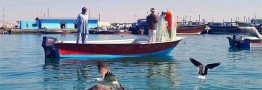 سهمیه بنزین قایق&zwnj;های صیادی ۱۲۰۰ لیتر در ماه تعیین شد