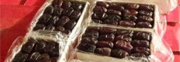 افزایش تولید ۷۰۰ هزار تنی خرما/ هند مشتری اصلی خرمای ایرانی