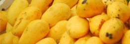 ورود مسافری انبه از مصر/ میوههای پروازی برای قشر خاصی است