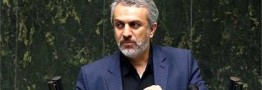 فاطمی&zwnj;امین از مجلس کارت زرد گرفت