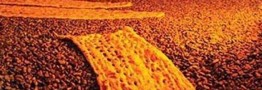 مشکلی در توزیع نان تهران وجود ندارد/ ماجرای گم شدن 50 میلیون نان چیست؟