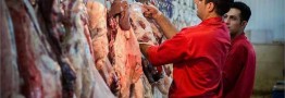قیمت هرکیلو لاشه گوسفندی ۲۳۰ هزارتومان/ بازار گوشت قرمز با حذف دلالان رو به تعادل است