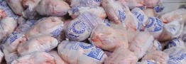 توزیع گسترده گوشت مرغ منجمد با قیمت عمده ۴۰ هزار تومان