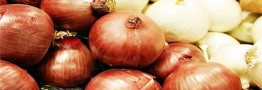 محدودیت صادرات پیاز لغو شد