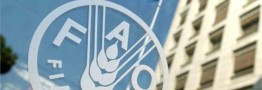 دستور کار فائو برای تبدیل ایران به مرکز امنیت غذایی کشورهای منطقه