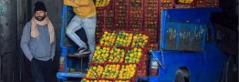 صدور فاکتور رسمی برای عمده&zwnj;فروشان میوه و تره&zwnj;بار الزامی شد