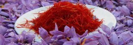 سهم ایران از تجارت زعفران دنیا ۴۰۰ میلیون دلار است