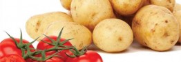 صادرات، قیمت گوجه&zwnj;فرنگی و سیب&zwnj;زمینی را افزایش داد