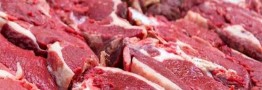 تبدیل ایران از واردکننده محصولات دامی به صادرکننده/ در گوشت، مرغ و تخم مرغ به خودکفایی رسیدیم