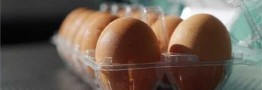 اصلاح قیمت تخممرغ با پیشنهاد حدود ۳۰ درصد افزایش