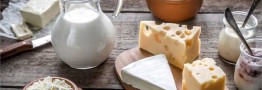 اصلاح قیمت شیرخام منجر به گرانی لبنیات میشود