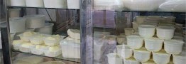 هشدار استاندارد نسبت به استفاده از لبنیات سنتی