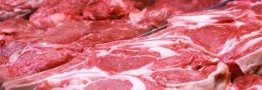 آغاز طرح خرید حمایتی ۲۰ هزار راس دام از هفته آینده