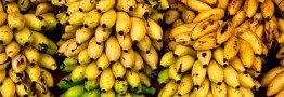 ایران در تامین موز تا ۳ سال آینده خودکفا میشود