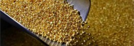 طلای جهانی کاهش یافت