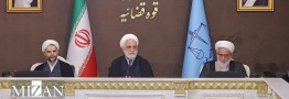 رئیس قوه قضا: احتکار برنج توسط یک شرکت عامل گرانی‌ها