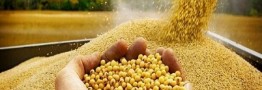 مسئله استفاده از فناوری در قطع وابستگی است؛ برای ما شرکت وفرد مهم نیست