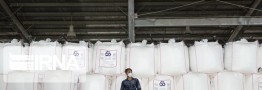 Annual export of polymer products exceeds $4.5b