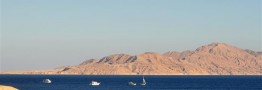 مصر 2 جزیره استراتژیک دریای سرخ را به عربستان بخشید