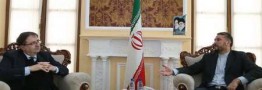 امیرعبداللهیان: ادعای ارسال سلاح از ایران به یمن کاملا بی اساس است